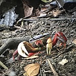 Photo taken by Michelle D