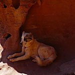 Photo taken by Sarah m