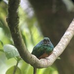 Photo taken by Chakrapani S