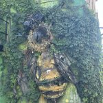 Photo taken by Kaisha S