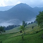 Photo taken by Shree L