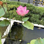 Photo taken by Fuad A