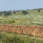 Photo taken by Beverly R