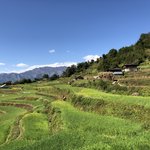 Photo taken by Amanda D