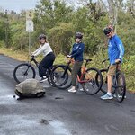 Photo taken by Randy H