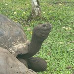 Photo taken by Thomas L