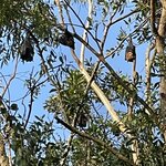 Photo taken by Susan C