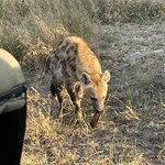 Photo taken by Joanne B