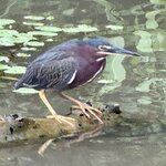 Photo taken by Julie S