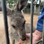 Photo taken by Cindy H