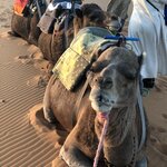 Photo taken by Tiffany M