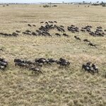 Photo taken by Julien C