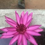 Photo taken by Karyn R