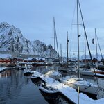 Photo taken by Andrew S