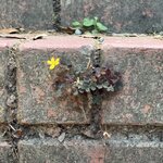 Photo taken by Erin J