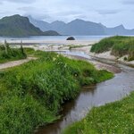 Photo taken by Dani L