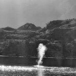 Photo taken by Stefani C