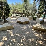 Photo taken by Felice Z