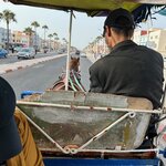 Photo taken by Tom B