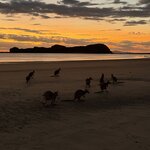 Photo taken by Lilly R