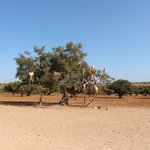 Photo taken by Jennifer H