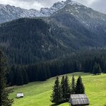 Photo taken by Sylvia S