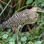 Photo taken by Graeme W