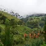 Photo taken by Brett F