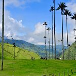 Photo taken by Chaitanya A