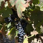 Photo taken by vedamoorthy s