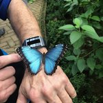 Amazing color | Photo taken by B P