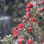 Photo taken by Miranda M