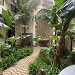 Photo taken by Paula F