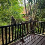 Photo taken by Bailey W