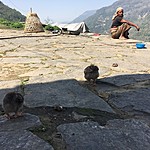 Photo taken by Jeroen v