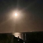 Photo taken by Lisa C