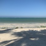 Photo taken by Kristin M