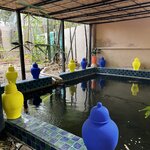 Photo taken by Victoria L