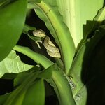 Photo taken by Susan D