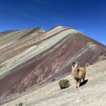 Photo taken by Dion F