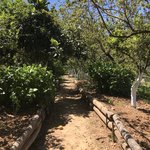 Photo taken by Victoria P