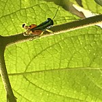 Photo taken by Michelle D