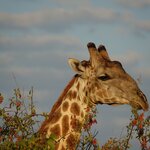 Photo taken by Sandro P