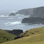 Photo taken by Danielle P