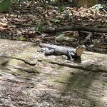 Photo taken by Jacqueline R