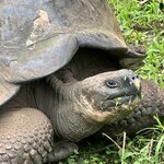 Photo taken by Randy H