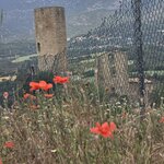 Photo taken by Marcia B