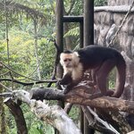 Photo taken by Charles H