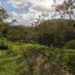 Photo taken by Kathy D