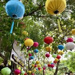 Photo taken by Vanessa V